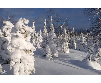 Сказочный лес. Артикул: 016